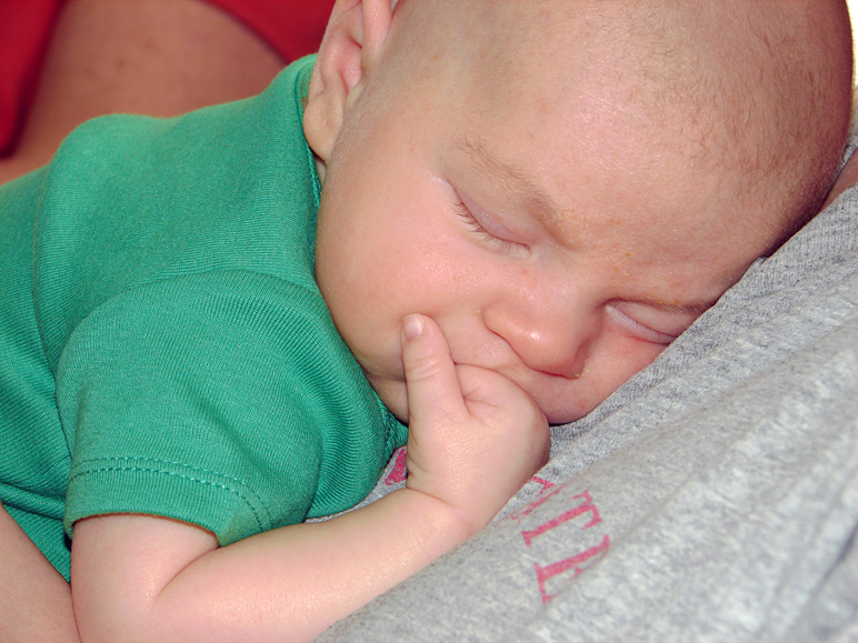 Xander sleeping soundly (209.83 KB)