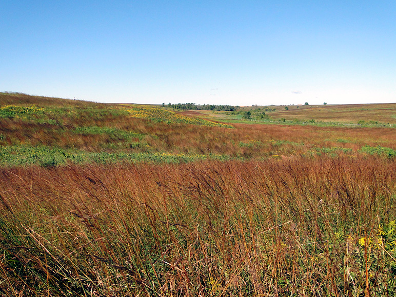 I've lived in Iowa my whole life and have never found the great plains so oddly pretty (332.46 KB)