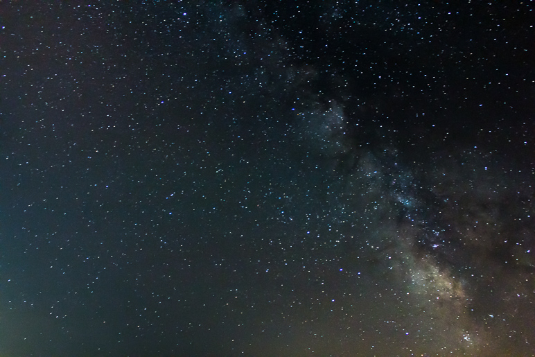 It amazes me how much the camera is able to pick up (211.19 KB)